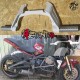 Subcage Triumph 675 Street Triple