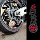 2004-2007 1000RR HB big rotor kit